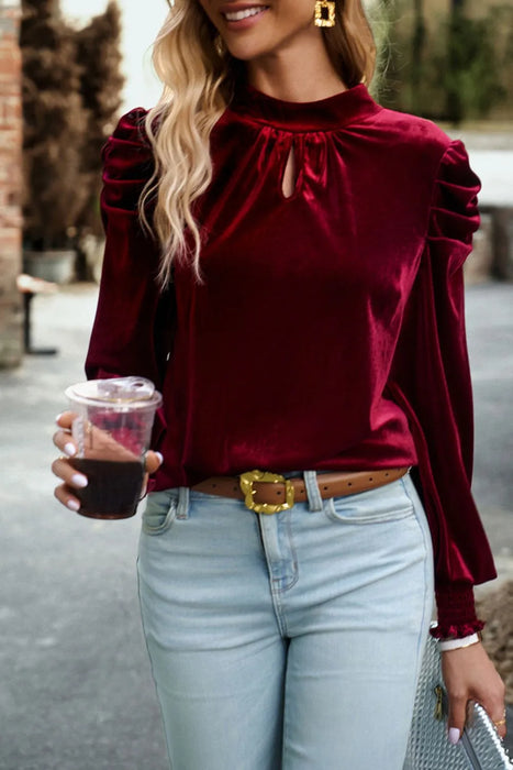 Tie Up Mock Neck Velvet Fabric Long Sleeve Blouse - Byyde