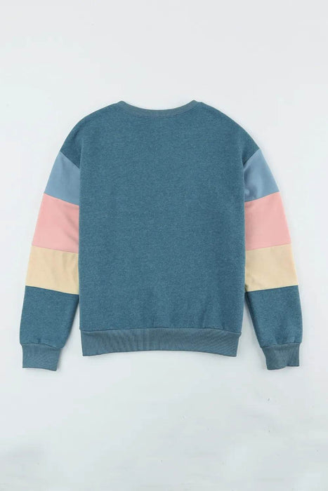 Color Block Round Neck Long Sleeve Sweatshirt - Byyde