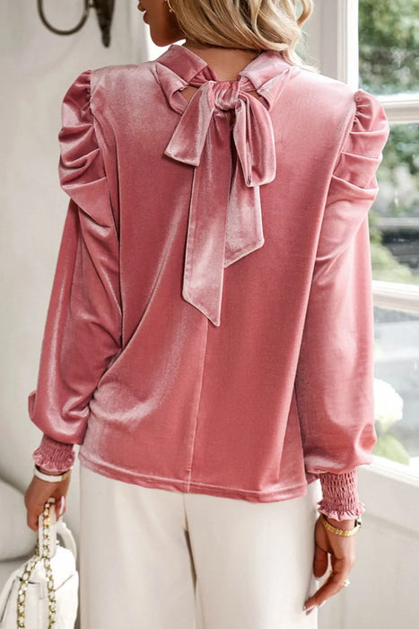 Tie Up Mock Neck Velvet Fabric Long Sleeve Blouse - Byyde
