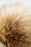 Leopard Pom-Pom Cuffed Beanie - Byyde