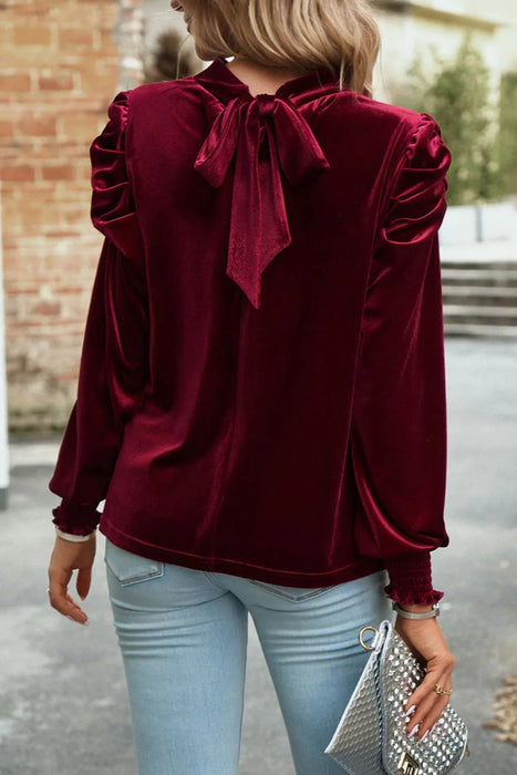 Tie Up Mock Neck Velvet Fabric Long Sleeve Blouse - Byyde